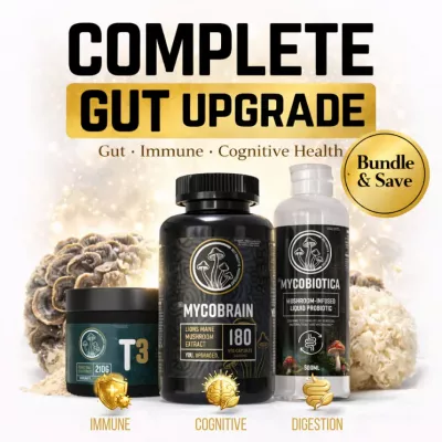 Complete Gut Upgrade